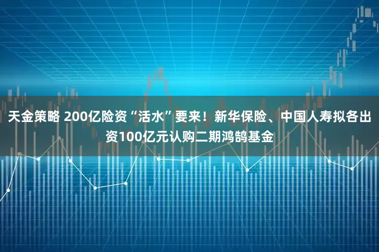 天金策略 200亿险资“活水”要来！新华保险、中国人寿拟各出资100亿元认购二期鸿鹄基金